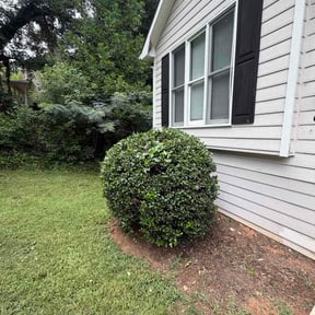 Bush Trimming by Central Service LLC reviewed on July 25, 2026