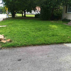 yard maintenance by Nice Lawns on Wheels reviewed on August 19, 2025