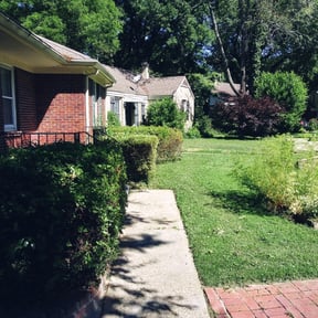 Bush Trimming by Diego Mojica Lawn Care reviewed on August 19, 2025
