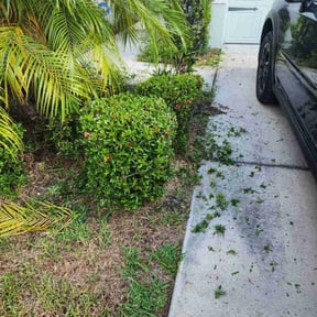 Bush Trimming by Island Life Business Ventures, LLC reviewed on August 15, 2025