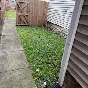 Leaf Removal by ZKZ Landscape &amp; Design reviewed on October 20, 2025