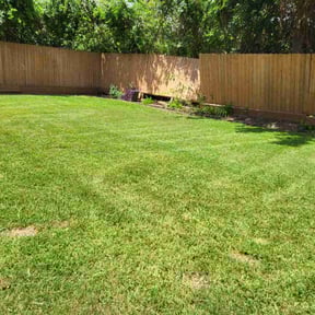 yard maintenance by CW Unlimited Enterprise LLC reviewed on August 19, 2025