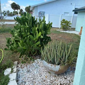 Flower Bed Weeding by Sunlight Property Services reviewed on July 8, 2026