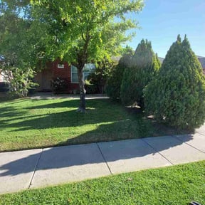 grass maintenance by Sun city lawn care reviewed on May 11, 2024