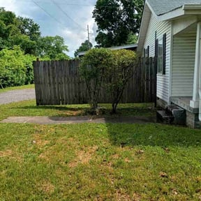 Bush Trimming by Goodfellas reviewed on August 15, 2025