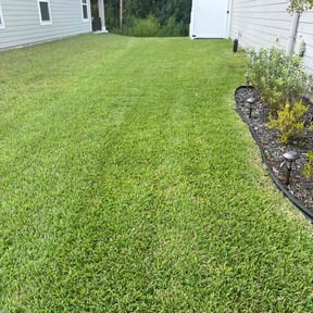 lawn maintenance by Bean Sprout Lawn Service LLC reviewed on August 19, 2025