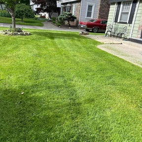 gardening service by BERGEN LAWNS & LANDSCAPING LLC reviewed on August 14, 2025