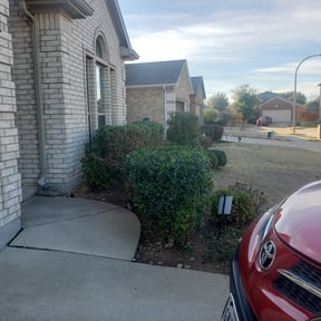 Bush Trimming by Kj's landscaping LLC. reviewed on August 21, 2025
