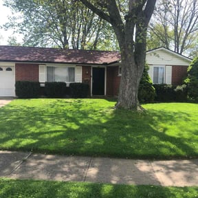 grass cutting by Wildcat Lawncare reviewed on May 7, 2025
