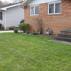 Bush Trimming by Scott Basinger lawn care reviewed on August 20, 2025