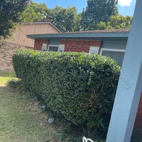 Bush Trimming by M & F Landscaping Services LLC reviewed on August 21, 2025