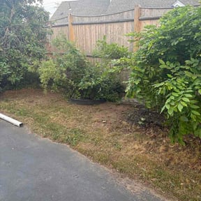 Flower Bed Weeding by Man and A Mower reviewed on June 29, 2026
