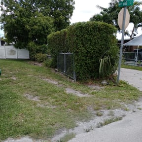Bush Trimming by Cutting Edge Landscaping reviewed on August 21, 2025