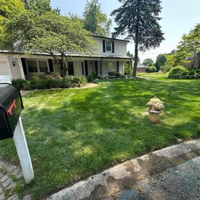 lawn care services by Lawrence Lawn Care reviewed on August 15, 2025