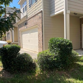 Bush Trimming by Merriweather Mowing Services reviewed on October 24, 2025