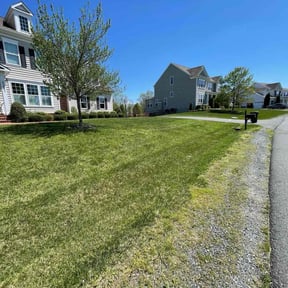 landscaping services by Stephen Reynolds reviewed on August 21, 2025