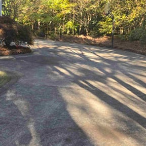 Leaf Removal by Rich Off Lawns reviewed on November 8, 2025