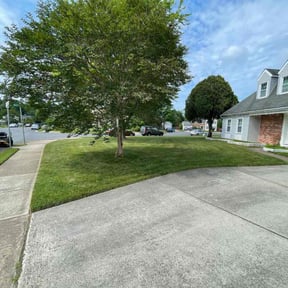landscape maintenance by SGP Lawn Services reviewed on August 15, 2025