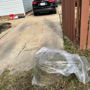 Flower Bed Weeding by Betts Greenery reviewed on December 1, 2025