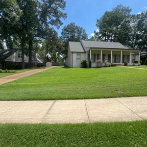yard care by Top Turf L.L.C reviewed on August 15, 2025