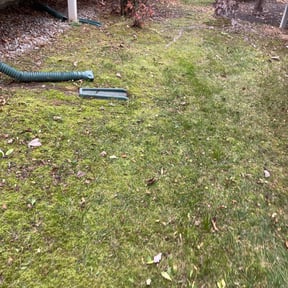 Leaf Removal by YB Cool Cutz reviewed on September 16, 2025