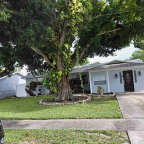 gardening service by Premier Lawn Services reviewed on August 21, 2025