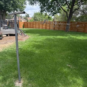 yard service by TOMS - Total Outdoor Maintenance reviewed on August 19, 2025