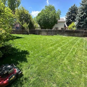 gardening service by Workerbee Home Maintenance reviewed on November 21, 2025