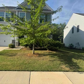 Bush Trimming by HalconLandscapingServices reviewed on August 18, 2025