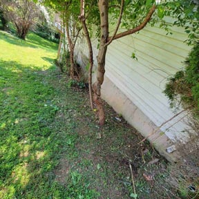 Bush Trimming by Tri-County Lawn & Landscaping reviewed on August 19, 2025