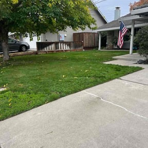 Bush Trimming by Gruver&#039;s Custom Solutions LLC reviewed on November 20, 2025