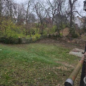 Leaf Removal by Opulent landscaping llc reviewed on August 21, 2026