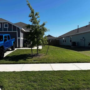 residential landscaping by SD Lawn Care  reviewed on January 6, 2026