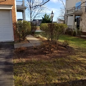 Bush Trimming by Lagger Properties reviewed on August 15, 2025