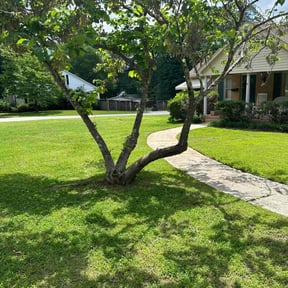 yard care by Masterkey property maintenance reviewed on August 19, 2025