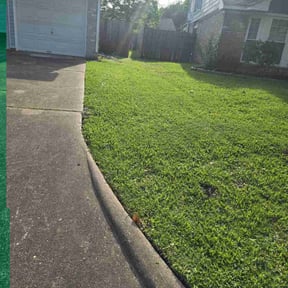 lawn service by Alvarado's Lawn Care reviewed on March 22, 2024