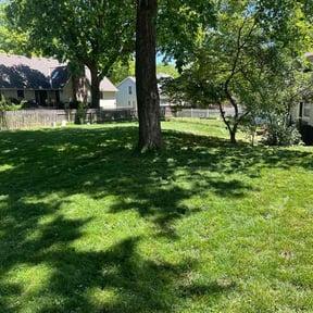 yard care by YardGoat Mowing reviewed on January 23, 2026