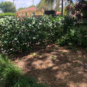 Bush Trimming by Dj Fresh cuts reviewed on August 21, 2025