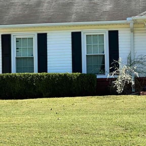 Bush Trimming by Vexs Lawncutters reviewed on November 4, 2025