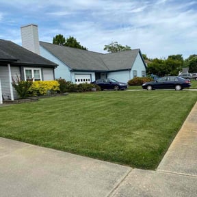 yard maintenance by T&amp;T landscaping reviewed on August 18, 2025