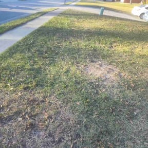 Leaf Removal by Aces reviewed on September 30, 2025