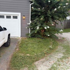 Flower Bed Weeding by BMG HomeSolutions reviewed on August 25, 2026