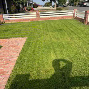turf maintenance by Rick and sons reviewed on August 19, 2025