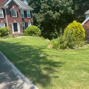 grass cutting by 3 Guys and a Cybertruck reviewed on April 26, 2025