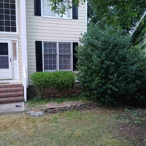 Bush Trimming by Double F Lawns reviewed on August 18, 2025