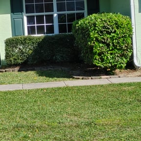 Bush Trimming by Lawnscapes of San Antonio reviewed on August 20, 2025