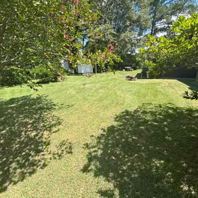 residential landscaping by Mr Kut It LLC reviewed on August 18, 2025