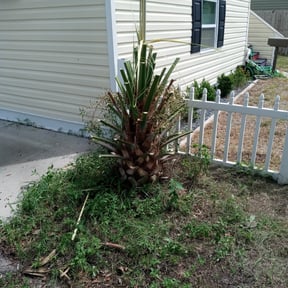 Bush Trimming by Oklahoma's Best Lawn Care reviewed on August 20, 2025