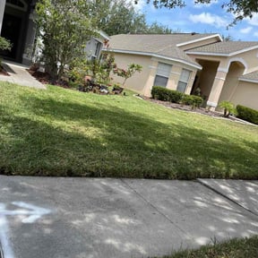 grass cutting by G. Green Lawns reviewed on June 5, 2024