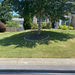 yard care by Lawnservice&amp;maintenance LLC reviewed on January 1, 2026